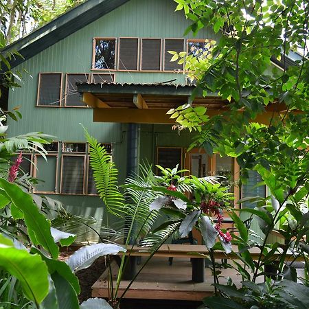 Rainforest Eco Lodge Suva Exterior foto