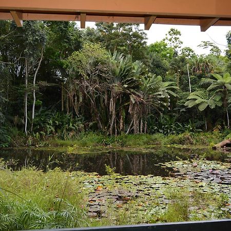 Rainforest Eco Lodge Suva Exterior foto