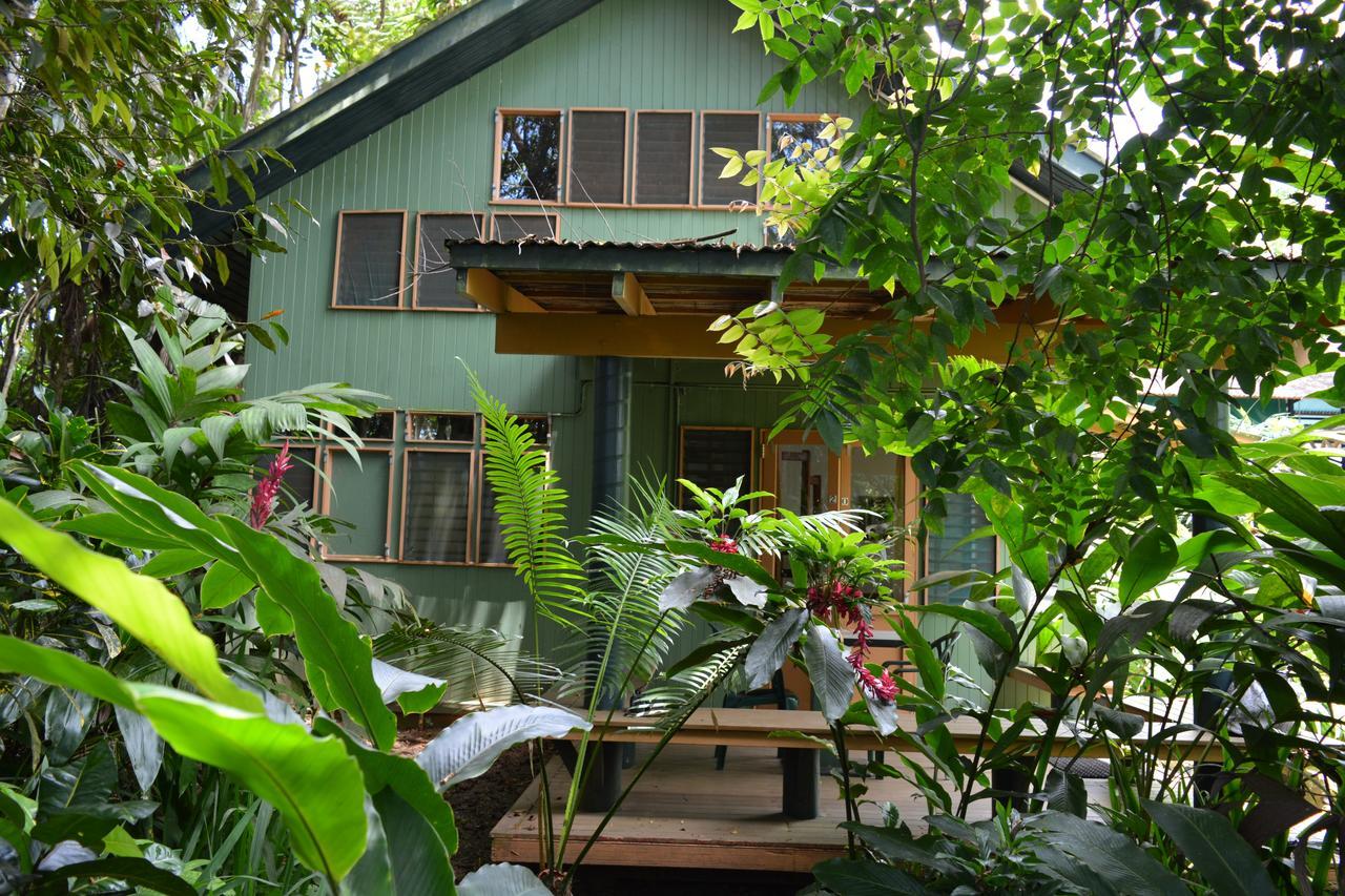 Rainforest Eco Lodge Suva Exterior foto