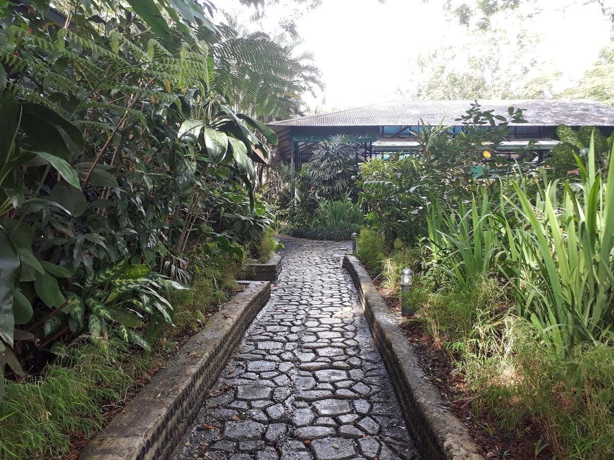 Rainforest Eco Lodge Suva Exterior foto