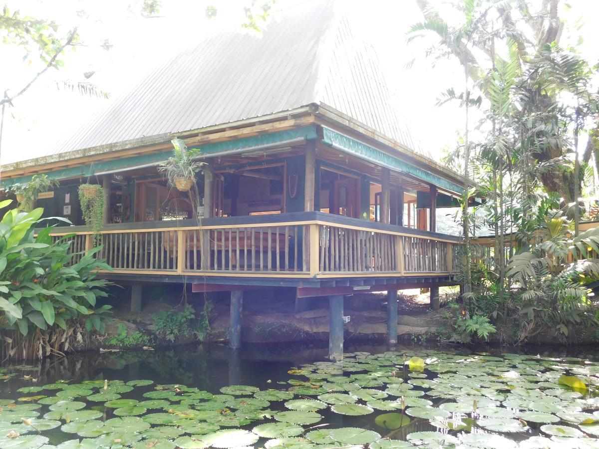 Rainforest Eco Lodge Suva Exterior foto