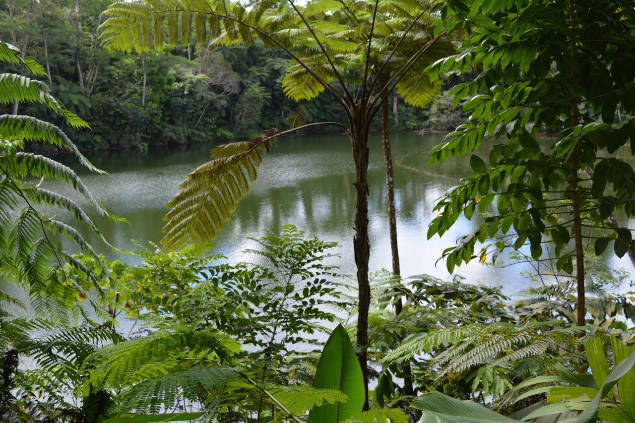 Rainforest Eco Lodge Suva Exterior foto