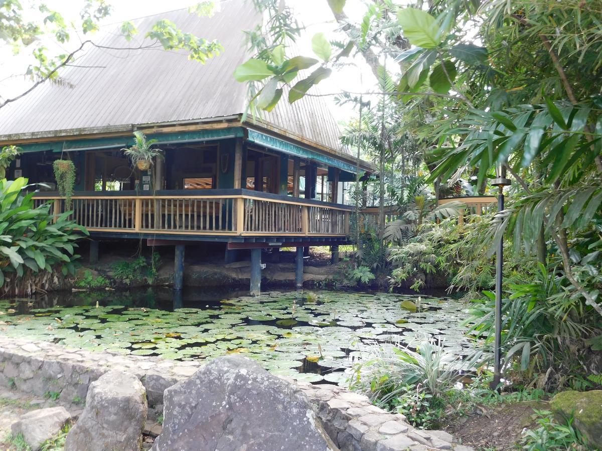 Rainforest Eco Lodge Suva Exterior foto