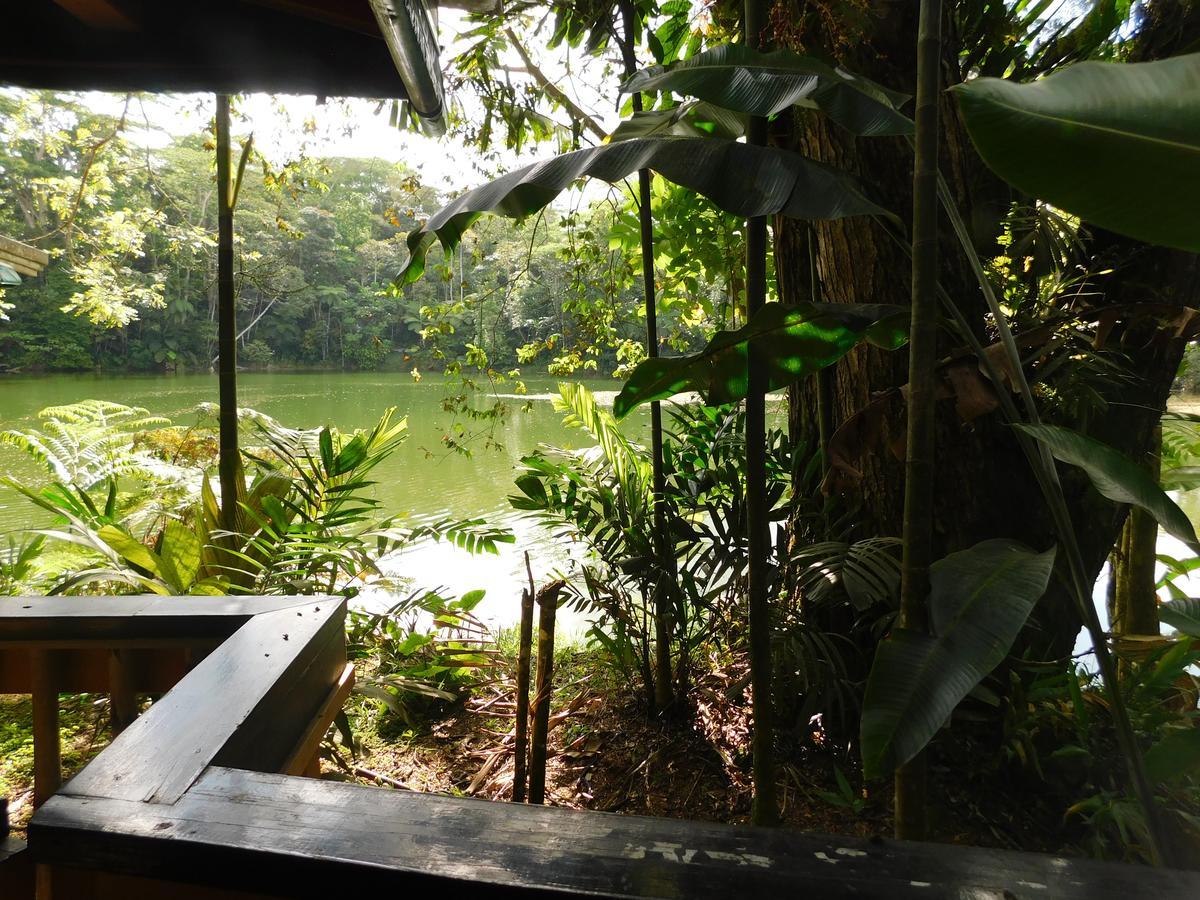 Rainforest Eco Lodge Suva Exterior foto